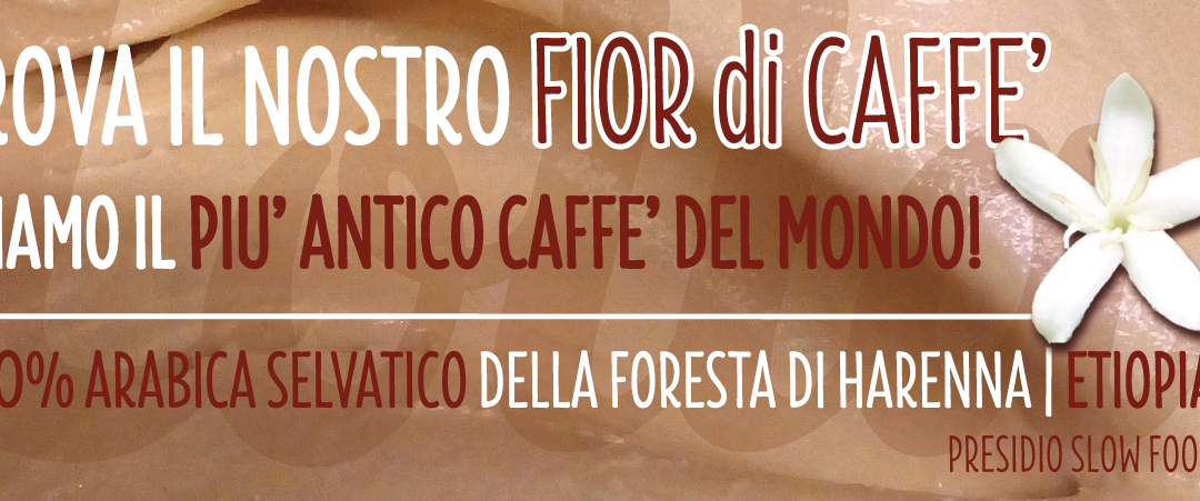 Lolla usa solo Il Caffè della Foresta di Harenna, presidio Slow Food.